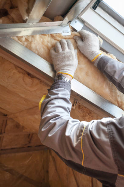 Best Professional Insulation Contractor  in Maple Glen, PA