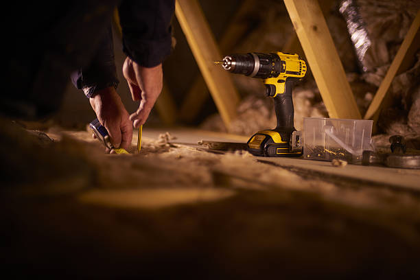 Best Insulation Removal  in Maple Glen, PA